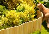 Płotki ogrodowe – ochrona i ozdoba roślin ogrodowych w jednym